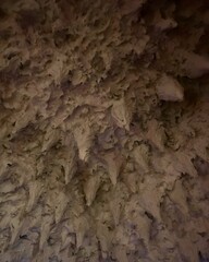 Natural beige cave wall texture close-up