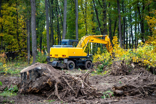 Yellow excavator clearing stumps in the forest