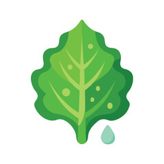 crisp green lettuce leaf with water droplets