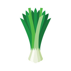  fresh leeks with green tops and white stems