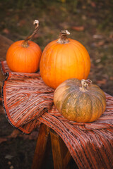 Autumn Harvest Pumpkins with Blanket