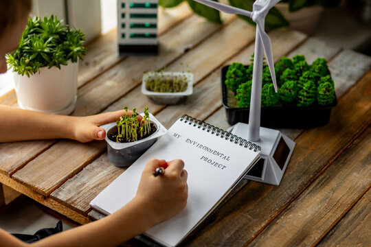 School environmental project, ecology lesson. Little boy is doing a study on sustainability, eco friendly living. Renewable energy, green city, urban planning. Biodiversity, plants - Powered by Adobe