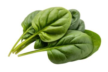 Fresh spinach leaves, vibrant green, isolated on transparent background. Healthy eating. background removed