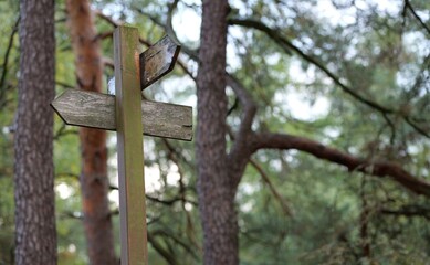 A weathered wooden sign stands in a dense forest, surrounded by towering trees. The scene is calm and quiet, filled with green foliage and dappled sunlight. A perfect spot for a short break.