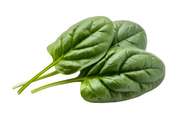 Obraz premium Two fresh spinach leaves with visible veins, isolated on a transparent background. background removed