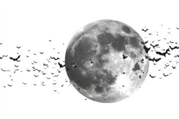 Full moon with bats flying spooky Halloween night scene isolated on white background