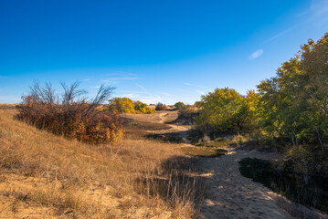 Douglas Provincial Park Sand Dune in Autumn