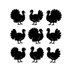 set of outline icons turkey vector on a white background
set of 9 line icons, vector, on a white background