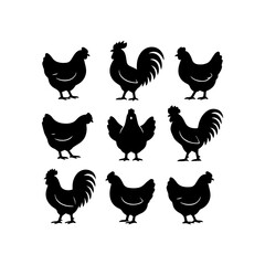 set of outline icons rooster vector on a white background
set of 9 line icons, vector, on a white background