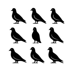 set of outline icons doves vector on a white background
set of 9 line icons, vector, on a white background