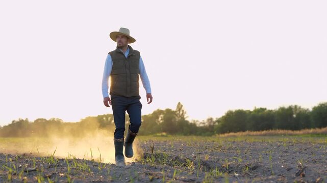 Joyful handsome male farmer walks in rubber boots on land through small green sprouts of wheat. Man cultivator walking on dry soil at own farm on sunset. Farmland, agronomist concept
