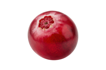 A single, ripe cranberry isolated on a transparent background, showcasing its vibrant red color and unique texture. background removed