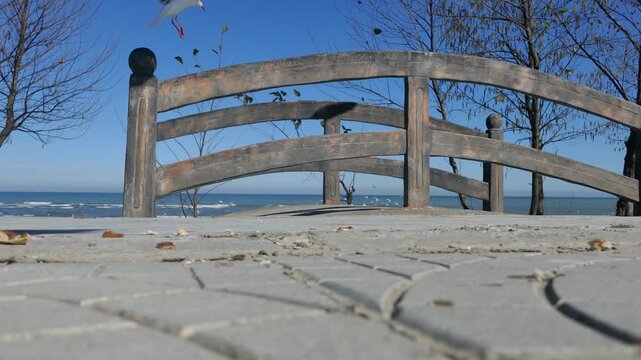 Flock of seagulls feeding on scattered bread while others take flight near a rustic wooden bridge by the sea, with bright blue sky and trees framing the lively coastal scene.