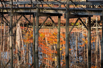 Underneath view of board walk with autumn tree reflections in a state park of Michigan