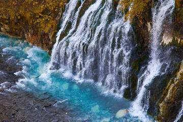 Obraz premium 白髭の滝