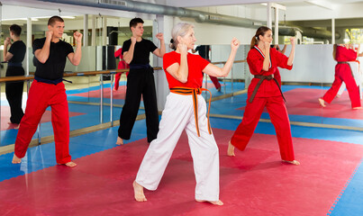 Modern determined aged woman practicing martial arts with group of adults in gym. Seniors active...