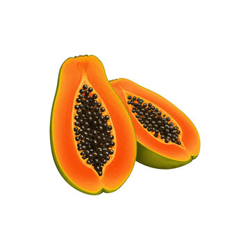 Cut Papaya Showing Black Seeds Illustration