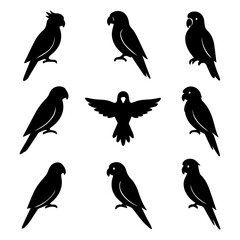 set of outline icons parrot vector on a white background
set of 9 line icons, vector, on a white background