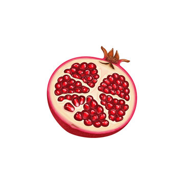 Pomegranate Cut Open Showing Seeds