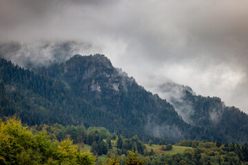 Misty mountain landscape with lush green forests and towering peaks shrouded in clouds creating a serene and atmospheric view. The Mala Fatra national park in Slovakia, Europe.