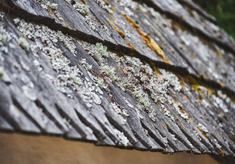 Old slate roof of a house with lichen. Close-up of wavy weathered slate roof. Selective focus