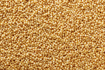 Yellow raw millet background top view, organic cereal texture