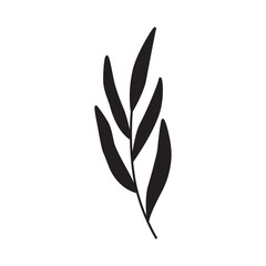 A Simple Black Silhouette of a Delicate Plant Stem with Multiple Elongated Leaves on a Pure White Transparent Background