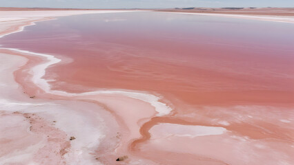 pink salt lake