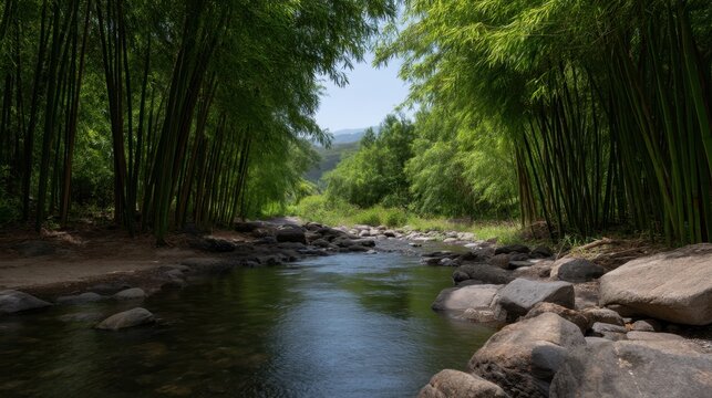 Tranquil Bamboo Archway Over Shallow Stream with Stones and Lush Greenery