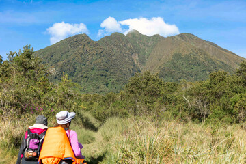 A hiker on a a hiking trail at Mount Sabyinyo in Mgahinga Gorilla National Park in Uganda