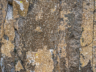 Patches of lichen grow on the cracked basalt rock surface near Ochoco National Forest, Oregon, USA