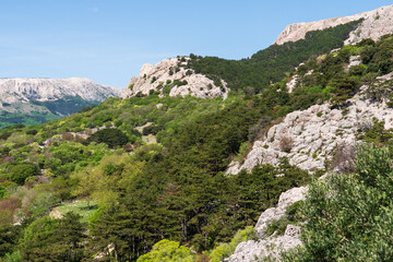 Prvić Island and Sveti Grgur, Croatia - April 20, 2025: Panoramic view of the mountains and sea.