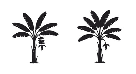 Two simple black silhouette illustrations of banana trees with foliage