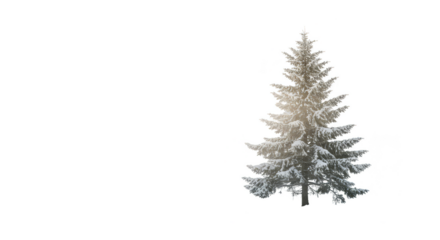 Isolated realistic snow covered pine tree with soft light