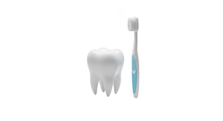 Isolated Tooth and Toothbrush Realistic Medical Illustration
