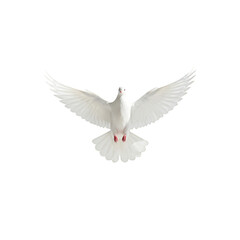 Obraz premium Isolated White Dove Flying Transparent Background