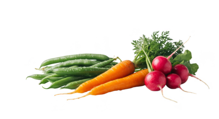 Photo Fresh Vegetables Isolated Green Beans Carrots Radishes on Black