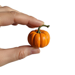 Photo Isolated Miniature Pumpkin Held by Fingers