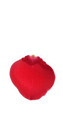 Realistic Red Rose Petal Isolated Transparent Background