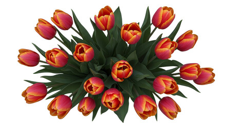 Top View Realistic Red Yellow Tulips Flower Arrangement Isolated Transparent Background