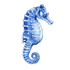 Watercolor Blue Seahorse Illustration Isolated Transparent Background