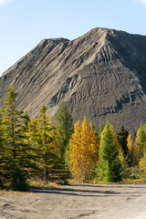 A mountain of asbestos wastes in the fall colors