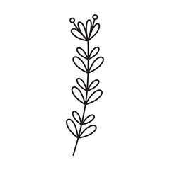 Simple Outline Botanical Illustration of a Delicate Stem with Small Leaves and Buds on a White Background Minimalist Line Art Nature Element