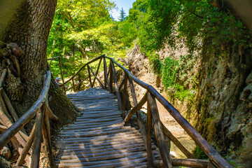 Wooden bridge in the Butterfly Valley (Petaloudes), shady nature park famous for thousands of...