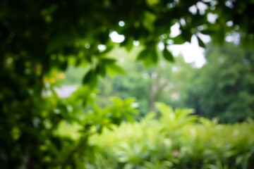 Obraz premium Generative AI soft focus lush greenery and dappled light.