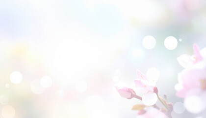 Soft pink flower blossom with gentle bokeh light effect, creating dreamy and delicate springtime atmosphere full of calm and beauty