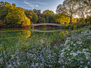 Fototapeta premium Bow bridge in late summer