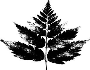Obraz premium Black and white stencil design of wilted fern leaf for art and decoration projects