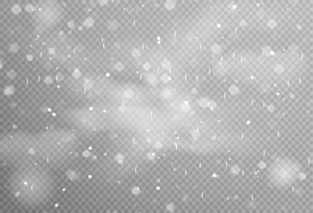 Christmas snowflakes on a transparent background. Snow flakes, snow background. Heavy snowfall, snowflakes in different shapes and forms.