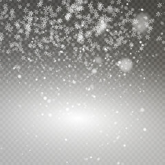 Christmas snowflakes on a transparent background. Snow flakes, snow background. Heavy snowfall, snowflakes in different shapes and forms.